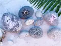Söta djur och mandalas målade på stenar. En ko, en gris och två mönster.