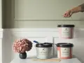 Tre burkar Alcro ad.finess färg i olika kulörer. En burk lyfts, en med pensel och en med en hortensia. Välj mellan sidenmatt vs matt för ditt projekt.