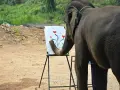 En elefant målar blommor på en duk med sin snabel.