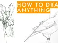 Enkla skisser av en irisblomma och en fågel, med texten "HOW TO DRAW ANYTHING" som uppmuntrar till att rita bilder.