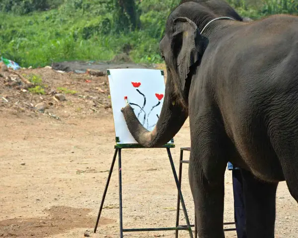 En elefant målar blommor på en duk med sin snabel.